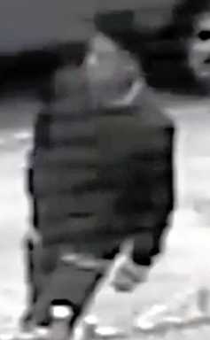 Cops seek teen arsonist in Marine Park