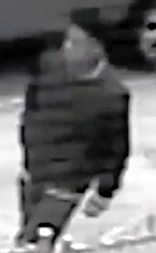 Cops seek teen arsonist in Marine Park