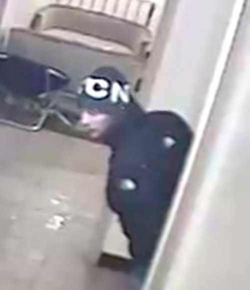 Three stooges try to steal coin machine from laundry room