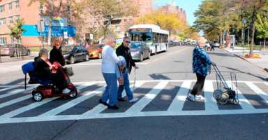 Seniors: This program divided cannot stand