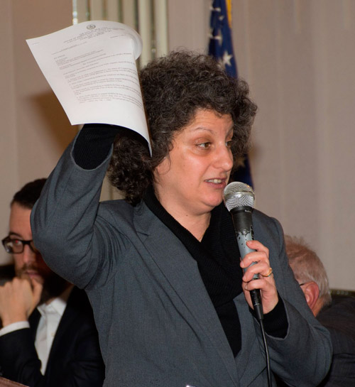 New bill to battle illegal conversions unveiled at Dyker town hall