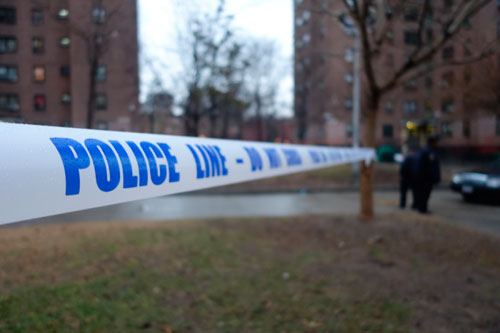 Murder in Gowanus