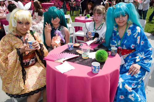 Five things to do and see at this year’s cherry blossom fest