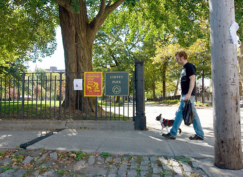 Dogs unleashed in Coffey Park