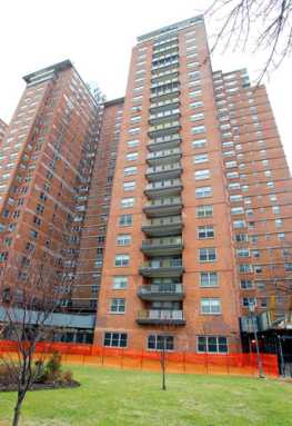 Brighton Beach man leaps to death