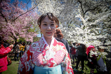 Best buds! Thousands flock to cherry blossom festival