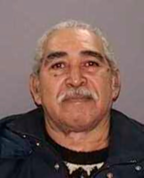 Elderly man accused of stabbing 21-year-old to death