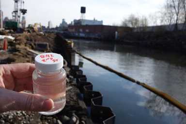All clear! Test proves Gowanus was OK for a swim