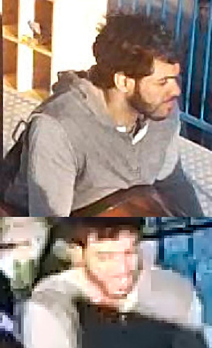 Plunder-bolt: Luna Park looter on the loose