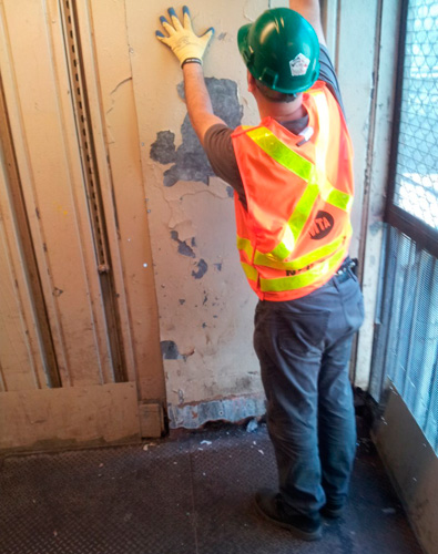 Purrfect ending: Feral cats rescued from subway station after our article