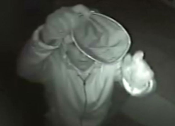 Cops: Help bust this burglar