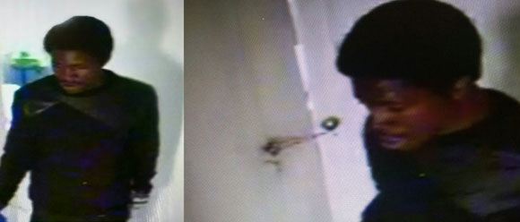 Cops hunt Flatlands jewelry thief