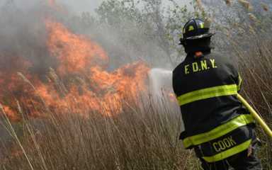 Brush fire scorches Marine Park