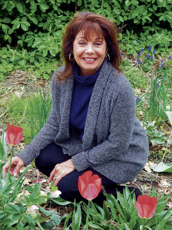 Linda Allegretti: Vollie makes Shore Road Park bloom