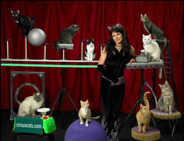 Fur is flying: Cat circus pounces into Brooklyn
