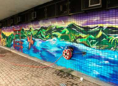 Murals in Midwood