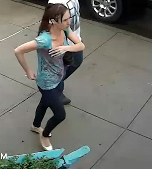 Cops seek sneaky thief