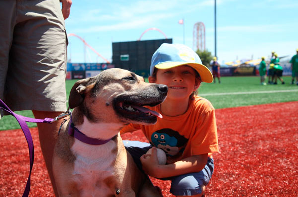 Cyclones host ‘Bark in the Park’