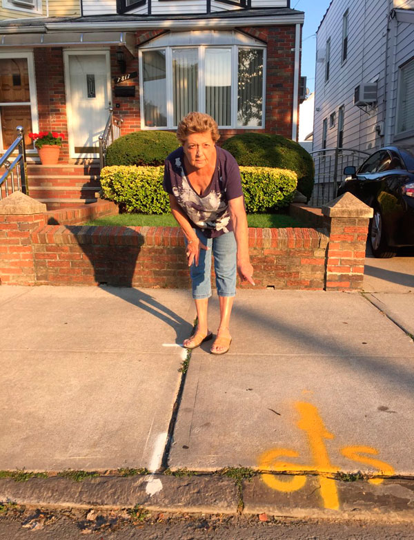 Root of the problem: Dyker residents see new street trees as arboreal assault