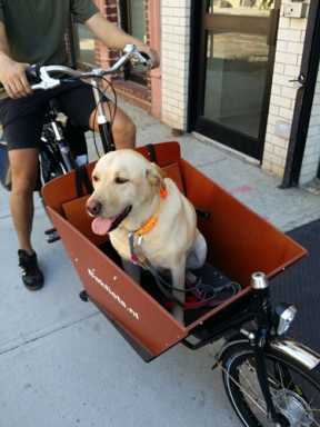 Pack in the saddle: Gowanus cycle store holds cargo-bike rodeo