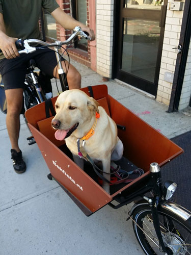 Pack in the saddle: Gowanus cycle store holds cargo-bike rodeo