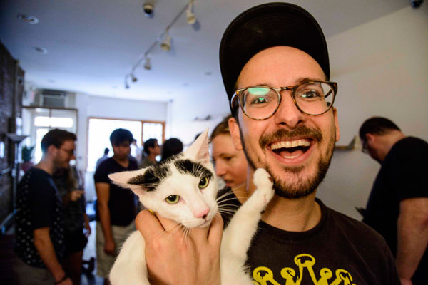 Pussies galore! Cat cafe opens in Fort Greene