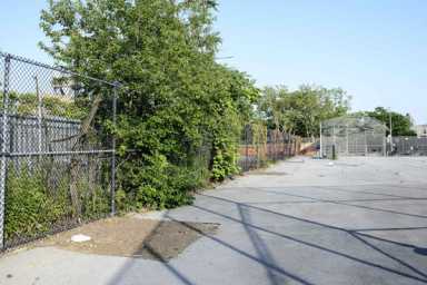 Greenpoint Landing developer pays $400K to cut down three trees