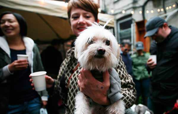 Guten wag! Sausage dogs, schnauzers celebrate dog-toberfest