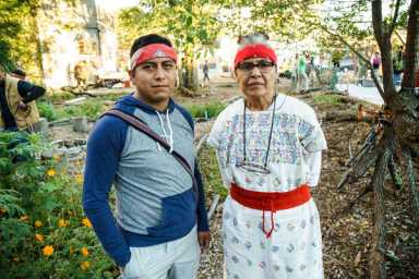 Noble rot: Bushwick community garden combines compost piles with wild flowers