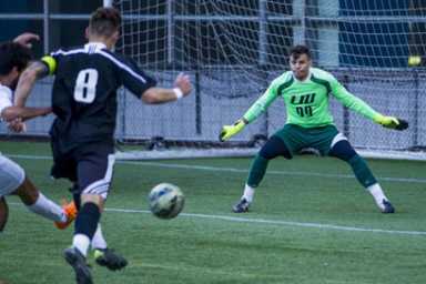 Blackbirds on the rebound: Top-seeded LIU rides winning streak into conference tourney