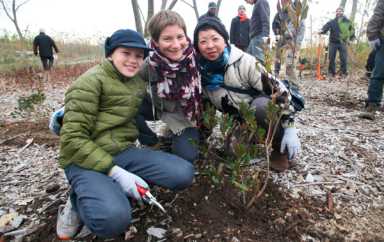 Primping and preening: Volunteers spruce up bird-watchers’ paradise Bush Terminal Park
