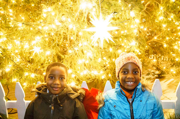 Near and reindeer! Live animals sleigh crowd at Downtown tree-lighting