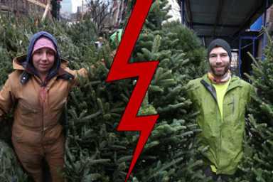 Oy tannenbaum! Montague St Christmas tree vendors face off in turf war
