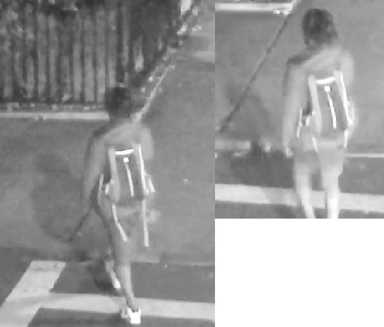 UPDATED: Sneak attack: Guy stabs Fort Greene playwrite in the neck then flees