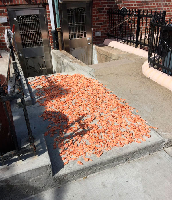 Stoop shrimp gross out Dyker residents