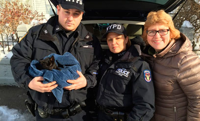 Hero cops, civilians rescue kitten in Windsor Terrace
