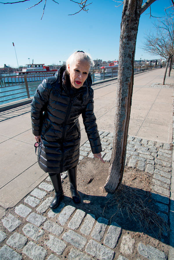 Dead in the water: City-state disagreement killing storm resiliency project