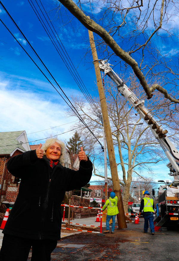 Boughed to pressure: Con Ed removes new utility pole after tree-lover’s outcry