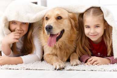 Mat attack! Take the drudge out of rug cleaning
