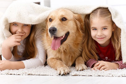 Mat attack! Take the drudge out of rug cleaning