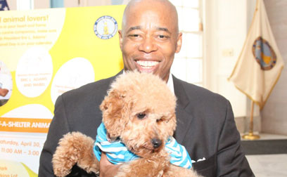 All ears! Dogs visit Borough Hall to hear about Beep’s adoption event