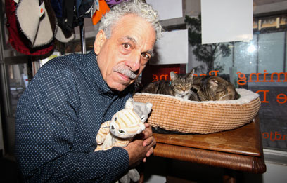 Pussies galore! Brooklyn Heights man wants army of feral cats to fix nabe’s rat problem