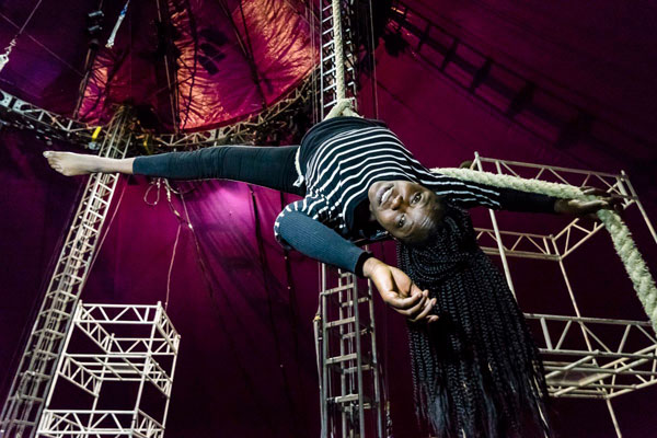 Down to the wire: High-flying circus group comes to Dumbo