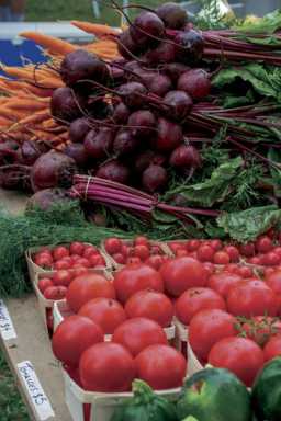 Grow-rious! Ditmas Park CSA accepting applications for 2016 season