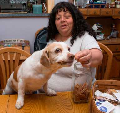 Pet project! Bath Beacher retired to make ‘all-natural’ dog treats