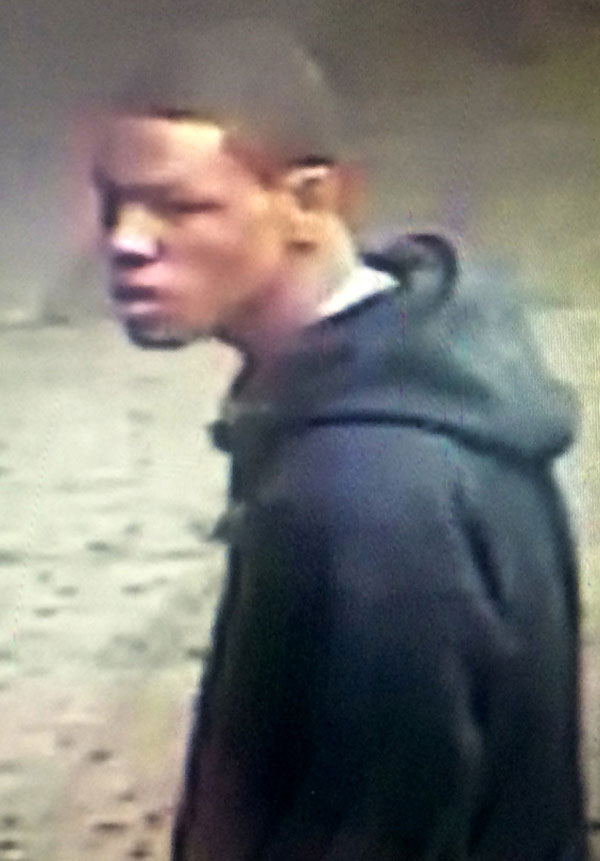 Police: Snake strangles guy on Williamsburg street, swipes $200 once he passes out