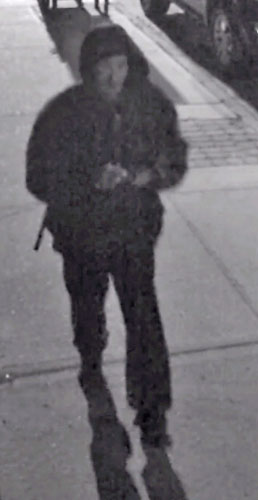 Creep plagues Marine Park with swastikas during Passover