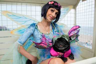 Fur flies! Pets ride Wonder Wheel, compete in costume contest