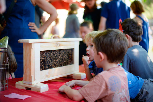 Flower children! Kids celebrate summer at Waterfront District urban farm