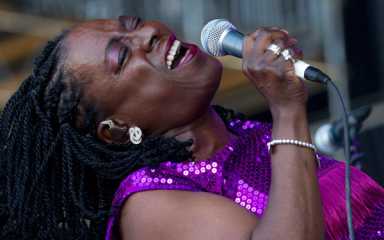 Your guide to Brooklyn’s essential outdoor summer concerts